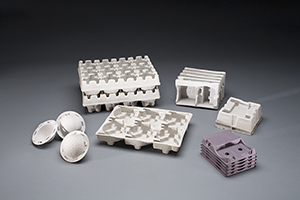 Sustainable Molded Fiber Packaging by Molded Fiber Technology (MFT)